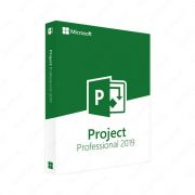 Microsoft Project Pro 2019