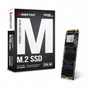 Твердотельный накопитель SSD BIOSTAR M700-256 GB