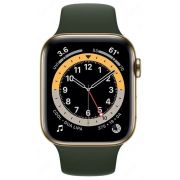 Умные часы Apple Watch Series 6 GPS + Cellular 40mm Stainless Steel (Gold)