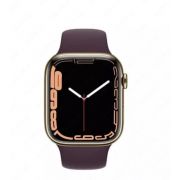 Смарт-часы Apple Watch Series 7 Special Edition 45 mm (Stainless Steel Gold)